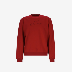 Sweat unisexe - باش نكسر الدنيا